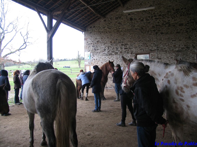 12 La prof montre ce qu'il ne faut pas faire !